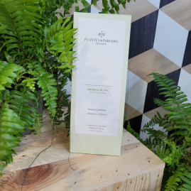 Bouquet Parfumé Bambou Blanc 100ml