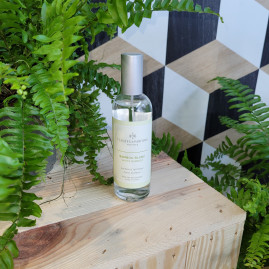parfum intérieur BAMBOU BLANC 100ml