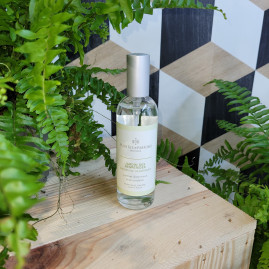 parfum intérieur JARDIN DES HESPERIDES 100ml