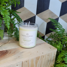 BOUGIE NATURELLE BAMBOU BLANC