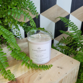 BOUGIE NATURELLE THE DE SHISO