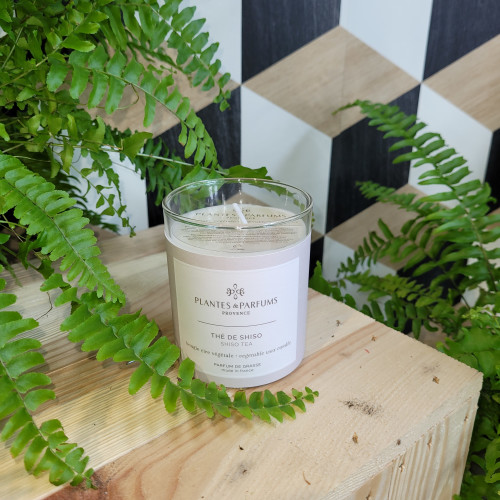 BOUGIE NATURELLE THE DE SHISO