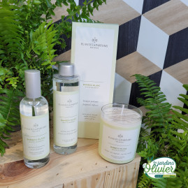 Coffret luxe senteur BAMBOU BLANC