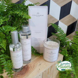 Coffret luxe senteur THE DE SHISO