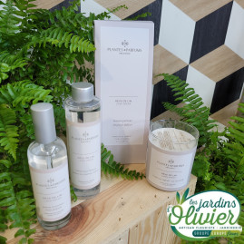 Coffret luxe senteur REVE DE LIN