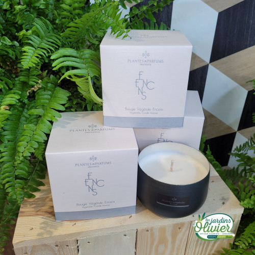 bougie végétal " encens "