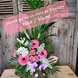Plante garnie du fleuriste rose/blanc