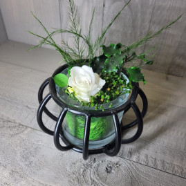 briona pm rs blanc