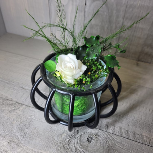 briona pm rs blanc