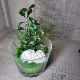 verre conique rs blanc