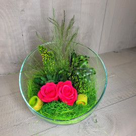 anke mm rs fushia