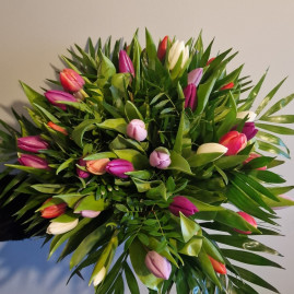 Tulipe à la folie
