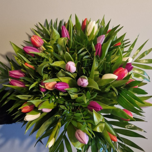 Tulipe à la folie