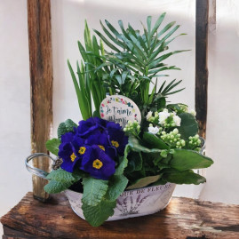 Souffle de printemps