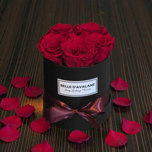 Belle D'Avalane box 5 roses