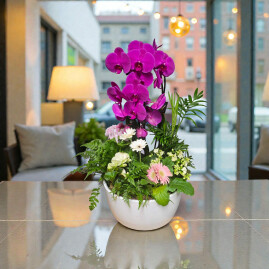 Symphonie d'orchidées rose soutenue