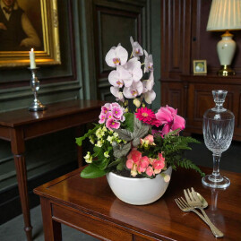 Symphonie d'orchidées rose soutenue